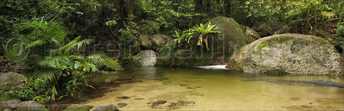 Peter Bellingham Photography Wurrmbu Creek - Mossman Gorge - QLD H (PBH4 00 17005)